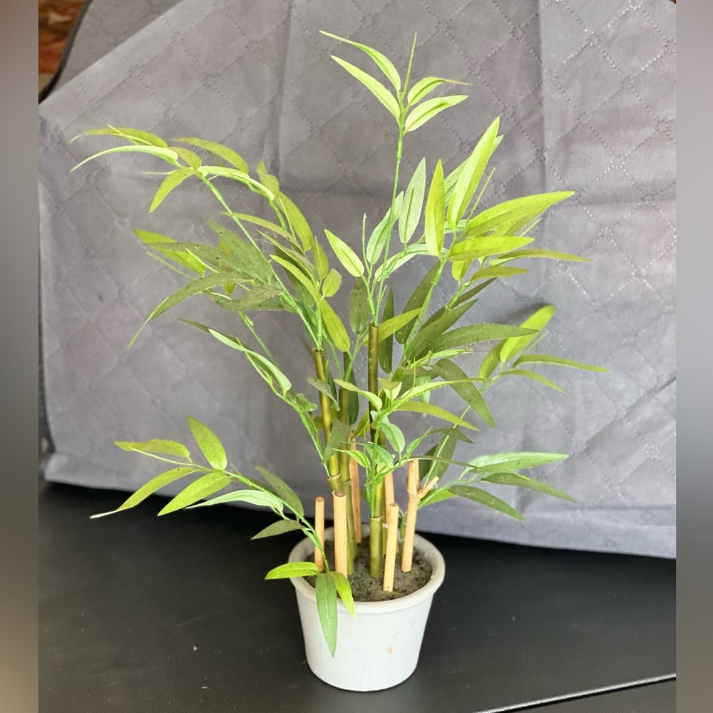 Artificial Bamboo Plant NWT in Pot